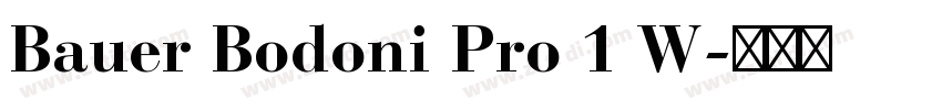 Bauer Bodoni Pro 1 W字体转换